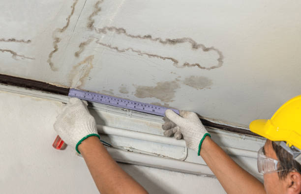 Reliable Mold Remediation contractor in Lawrenceburg, TN by Water Damage Irwin